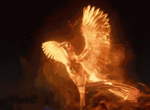 конёкгорбунок Konik Garbusek GIF
