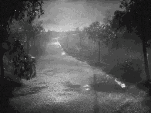 мокро ливень гроза лужи GIF