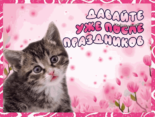 открытка праздник GIF