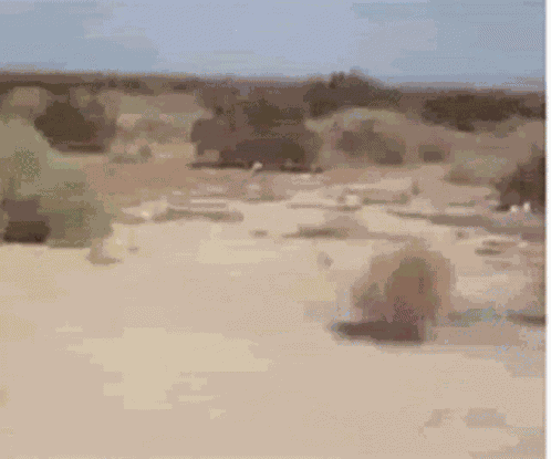 пустыня Desert GIF