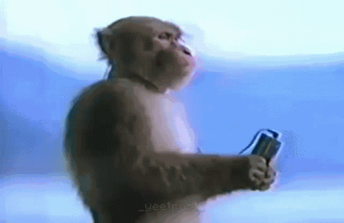 сыс GIF