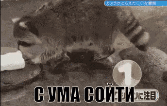 с ума сойти сумасшедшая магия енот GIF