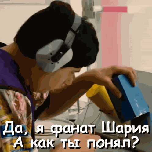 шарий фанат фанат шария GIF