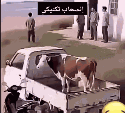انسحاب تكتيكي إنسحاب GIF