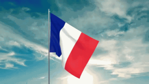 علم فرنسا GIF