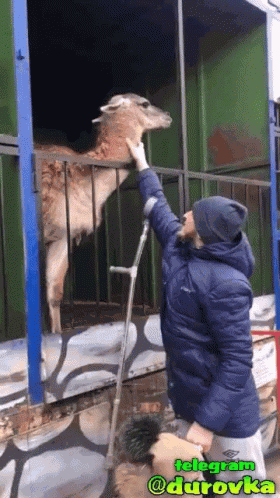 ٤٣٢٦ Go Away GIF