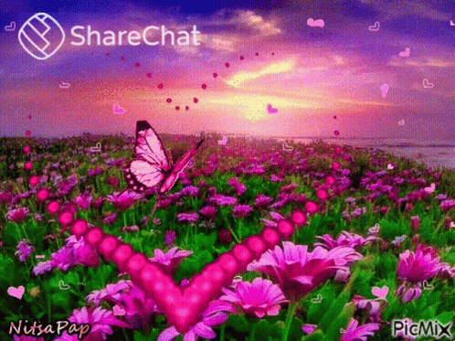बगीचा प्रकृति GIF