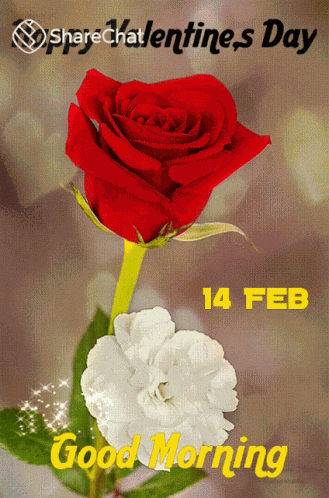 शुभप्रभात सुप्रभात GIF