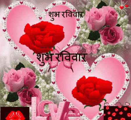 शुभरविवार, Happysunday, शुभ, रविवार, Happy, Sunday, Flowers GIF