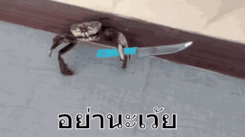 ถือมีด ปู GIF