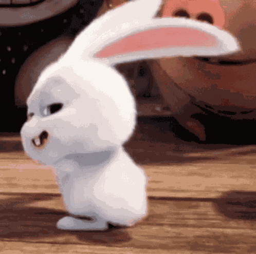 อิอิ Snowball GIF