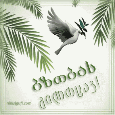 ბზობას გილოცავ GIF