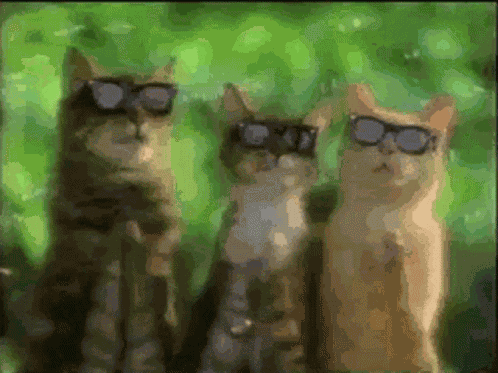 にヤング クレプ Way To Go GIF
