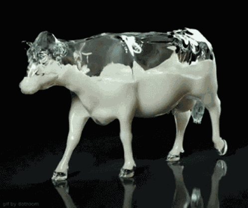 乳牛 Cow GIF