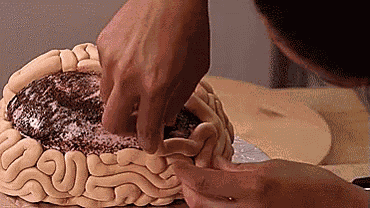 脳みそ　brain GIF