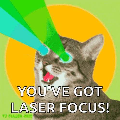 고양이레이저 Laser GIF