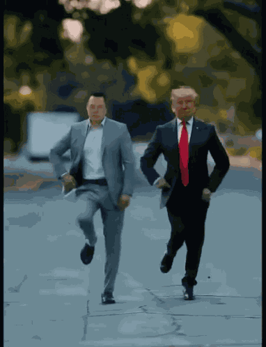 트럼프 일론 GIF
