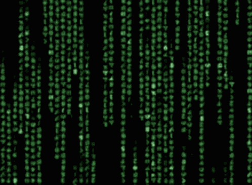1000 GIF