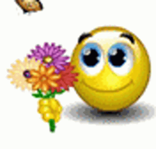10012008 GIF