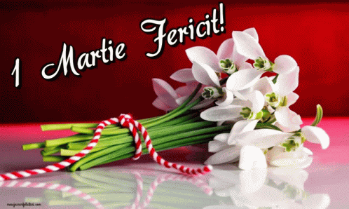 1martie Fericit GIF
