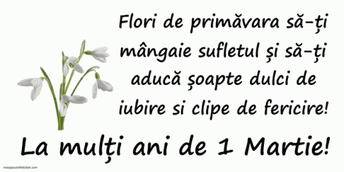 1martie Martisor GIF