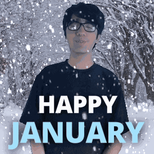 1st Of January First Day Of January GIF