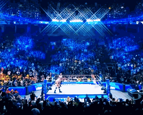2023 Wwe Smackdown Wrestling GIF