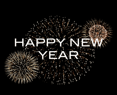 2025 Fireworks GIF