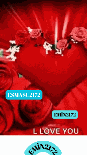 2172kalp2172 GIF