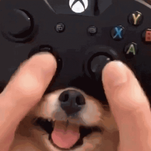 22 GIF