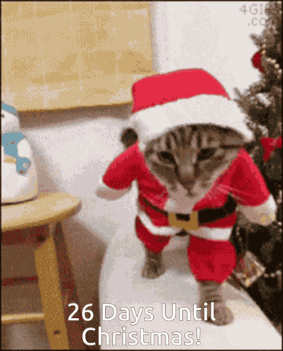 26 Days Until Christmas GIF