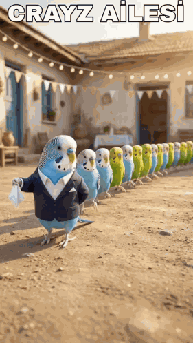 29mavi 29tunc GIF