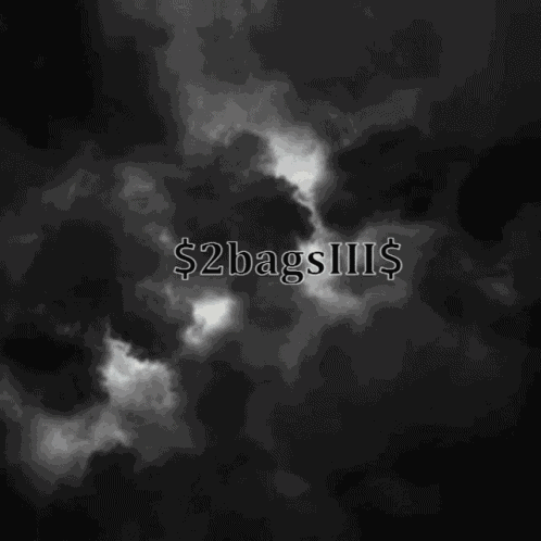 2bags GIF