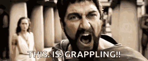 300 Action GIF