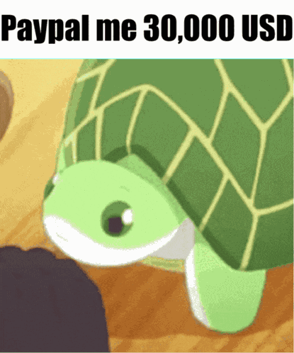 30000 Usd Turtle GIF