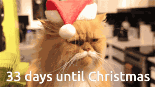 33 Days Left 33 Days Until Christmas GIF