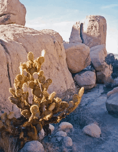 3d Depth GIF