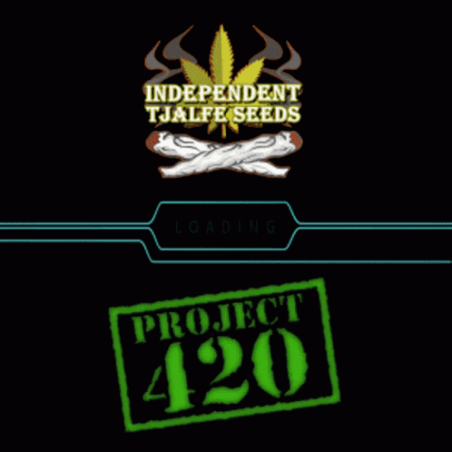 420 Project GIF