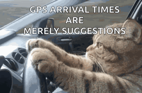 44 GIF