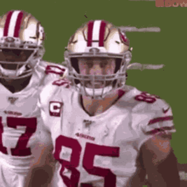49ers Win GIF