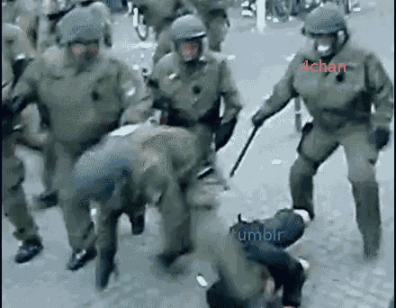 4chan Tumblr GIF
