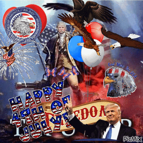 4th July America GIF