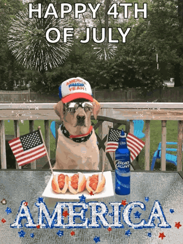 4th Of July Happy4th Of July GIF