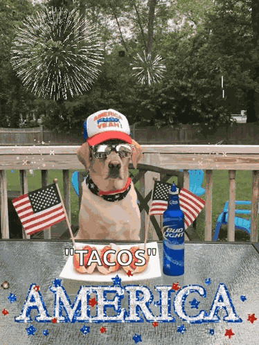 4th Of July Happy4th Of July GIF