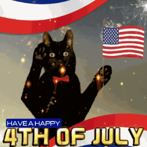 4th Of July GIF