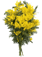 8 марта Sticker