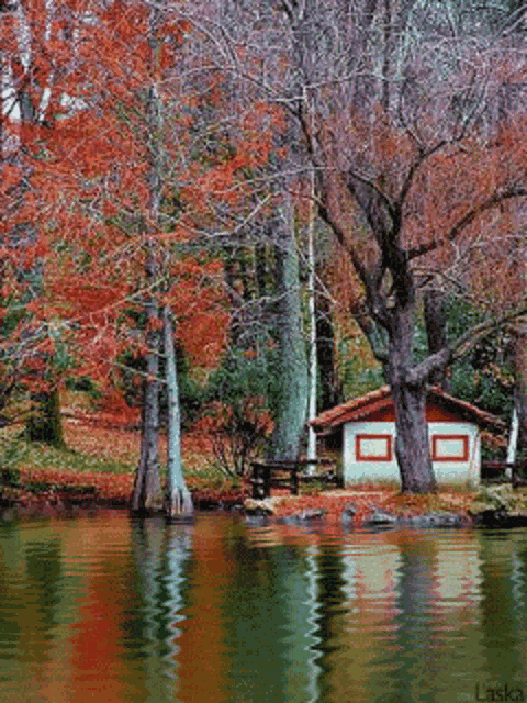 A Beautiful Nature Picture Nature GIF