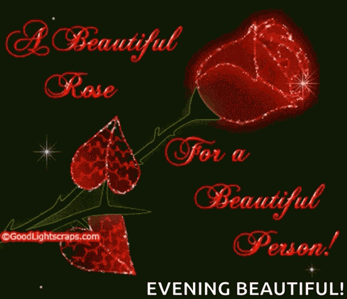 A Beautiful Rose For A Beautiful Person GIF
