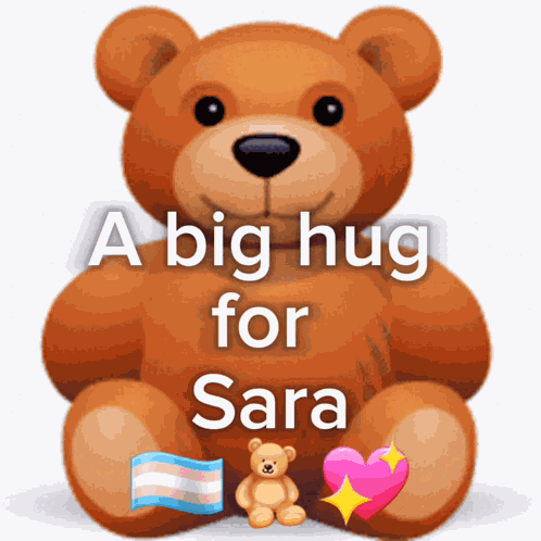 A Big Hug For Sara Sara GIF