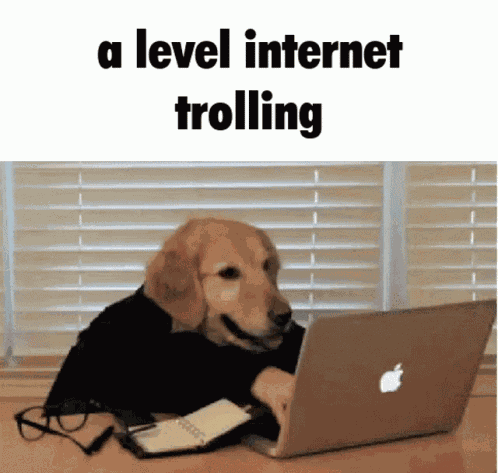 A Level Trolling GIF